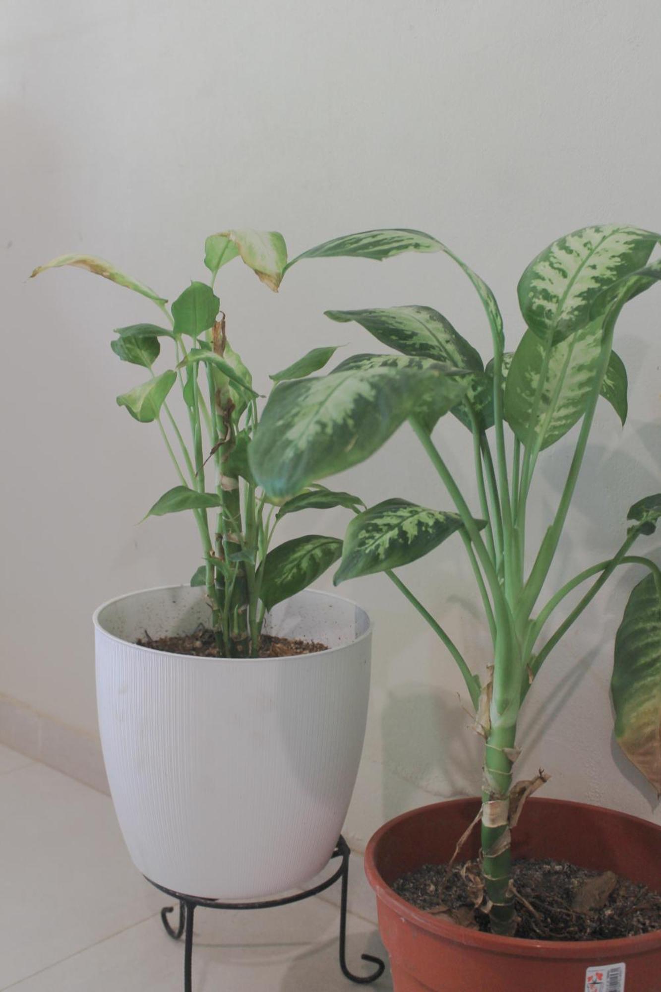 Oasis I Las Moras Con Cochera Y Jardin 拉里奥哈 外观 照片