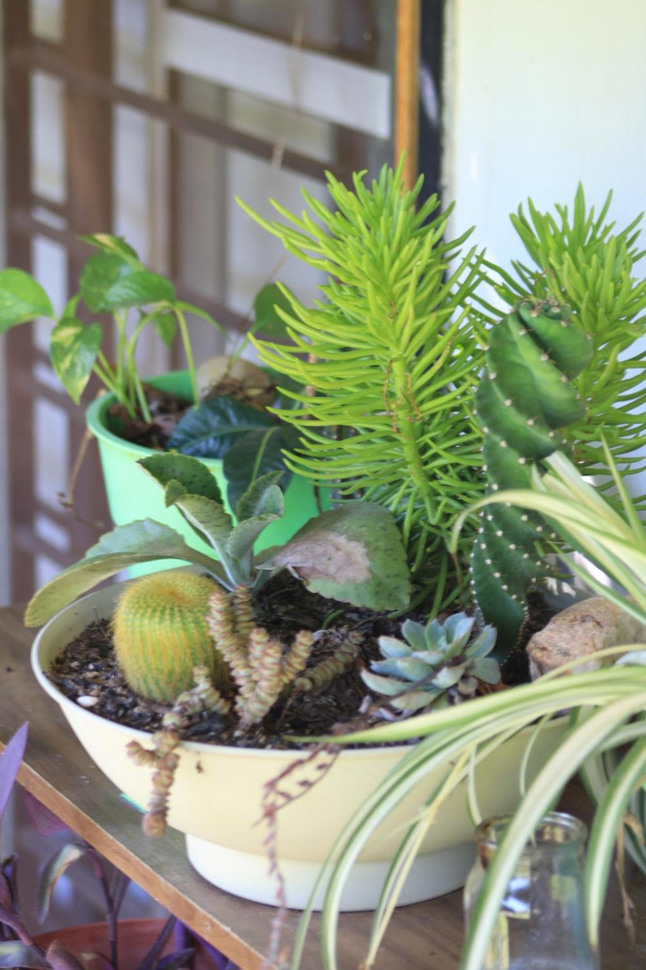 Oasis I Las Moras Con Cochera Y Jardin 拉里奥哈 外观 照片