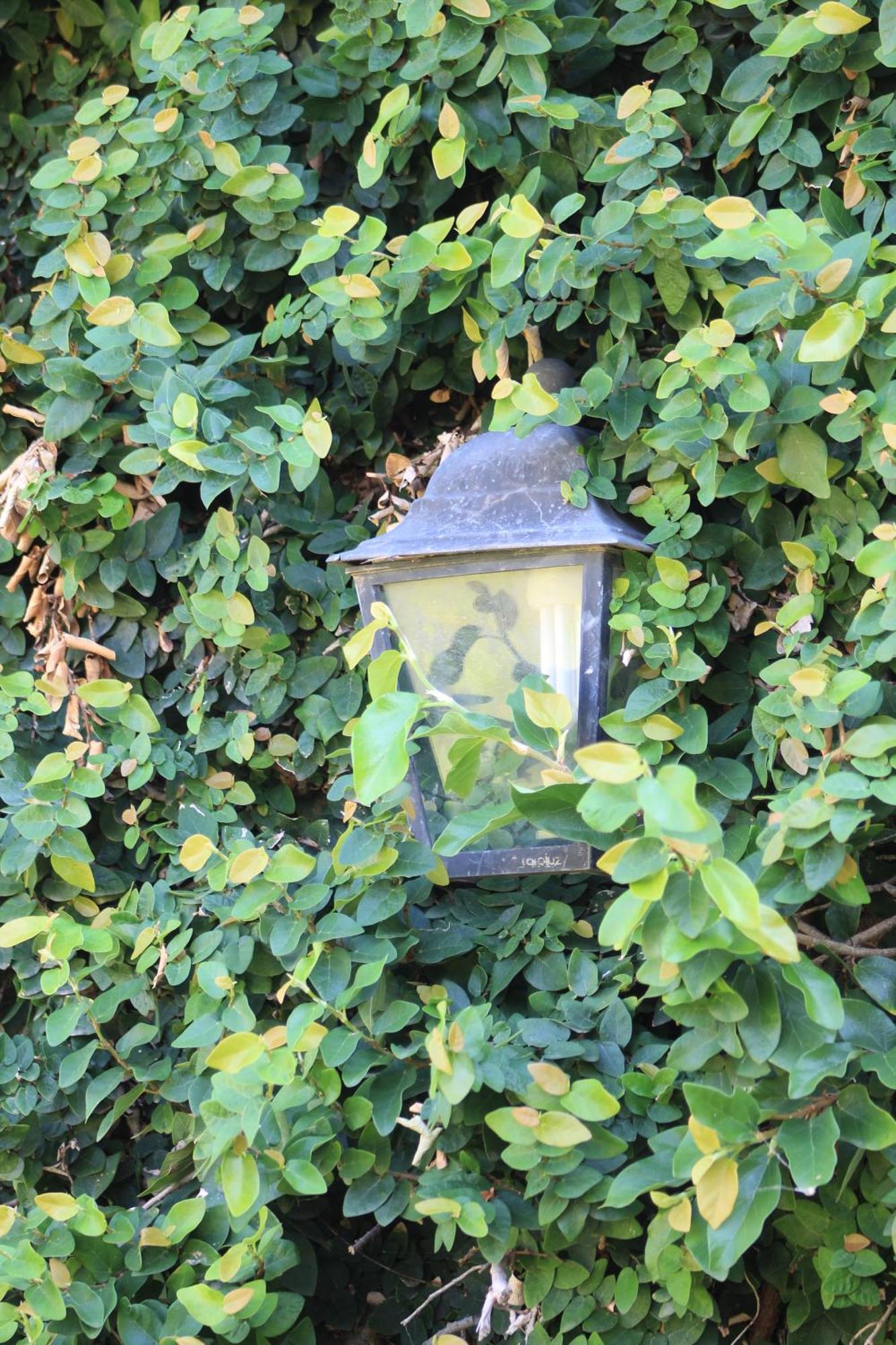 Oasis I Las Moras Con Cochera Y Jardin 拉里奥哈 外观 照片
