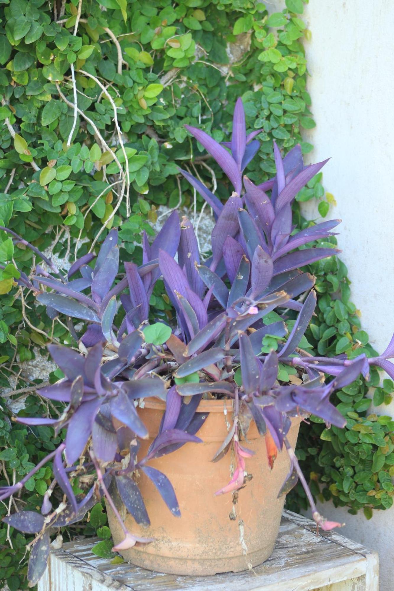 Oasis I Las Moras Con Cochera Y Jardin 拉里奥哈 外观 照片